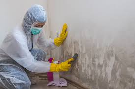 Asbestos and Lead Testing During Mold Inspection